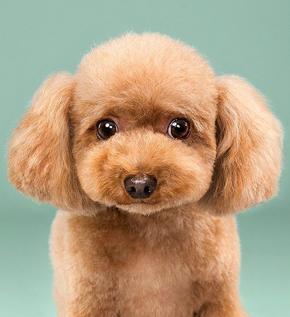 After grooming